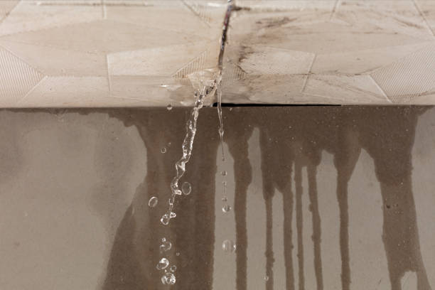 Professional Water Damage Restoration technician working in Guys, TN